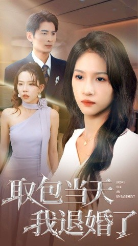 取包当天我退婚了(62集)朱碧漪&钰泽 (2025)-多米联创