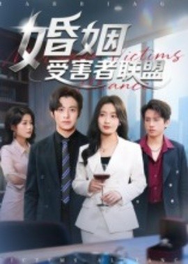 婚姻受害者联盟（41集）赵宏甲 (2025)-申水仓