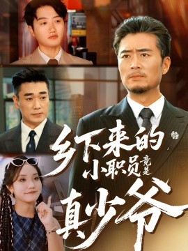 乡下来的小职员竟是真少爷（85集）丁磊＆高晟 (2025)-申水仓