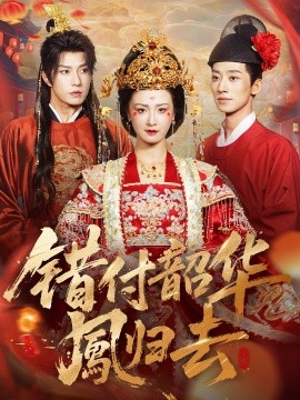 错付韶华凤归去&凤起青萍末(61集)钱镇基&周洋洋 (2025)-多米联创