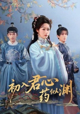 初入君心药似渊（70集）阿尔迪&胡继月 (2025)-申水仓