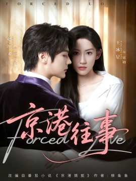 京港往事（80集）赵垣又＆王冰星 (2025)-申水仓