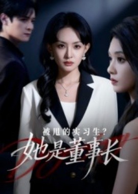 被甩的实习生?她是董事长!(59集)区天瑞&卢梦琳 (2025)-多米联创