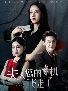 夫人您的专机飞走了（62集）王婧琦&陈泓龙 (2025)-申水仓