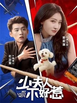 少夫人不好惹(61集)杜培源&喻嘉琳 (2025)-多米联创