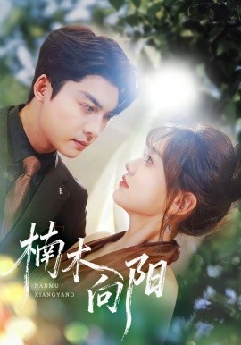 楠木向阳（70集）方正男＆仇乐瑶 (2025)-申水仓
