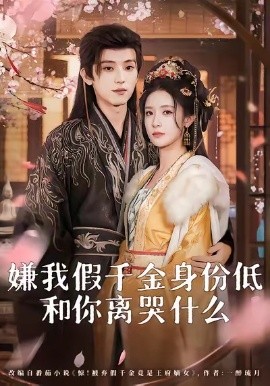 嫌我假千金身份低,和你离哭什么(120集)宋益凡&王思瑾 (2025)-多米联创