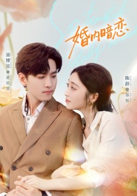 婚内暗恋(80集)聂博宣&陈辞 (2025)-多米联创