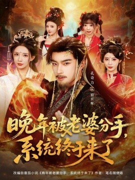 晚年被老婆分手，系统终于来了（80集）孔奇力＆李若希＆袁颖 (2025)-申水仓