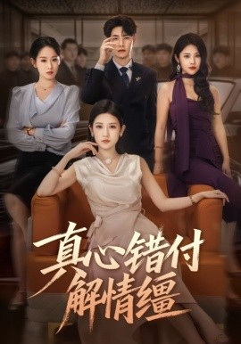 真心错付解情缰（71集）薛海威&梅瑞滢 (2025)-申水仓