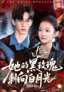 她的黑玫瑰刺向白月光（83集）贝贝＆郭澈 (2025)-多米联创