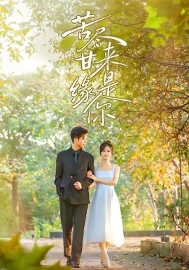 苦尽甘来缘是你（45集）刘晓宇＆杜昱泽 (2025)-多米联创