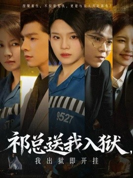 祁总送我入狱,我出狱即开挂(60集)(2025)-多米联创