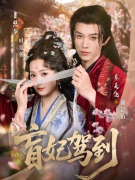 盲妃驾到（65集）鲁照华＆李是侥 (2025)-多米联创