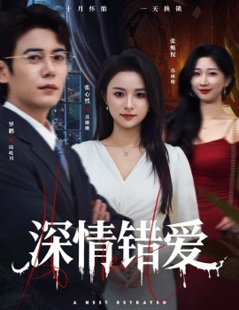 深情错爱&鸠占鹊巢（45集）罗鹏&张心然 (2025)-多米联创