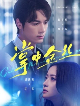 掌中金丝&长姐她竟是隐藏大佬(60集)周宇航&胡茜茜 (2025)-多米联创