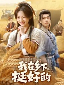 我在乡下挺好的（59集）李铂一&刘君洋 (2025)-多米联创