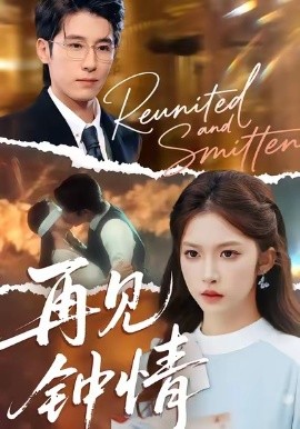 再见钟情(100集)林枫松&吴毅非 (2025)-多米联创