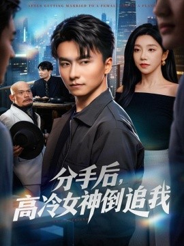 分手后，高冷女神倒追我（80集）常欣&王振 (2025)-多米联创