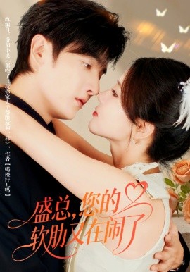 盛总,您的软肋又在闹了(80集)林潇&张许焓 (2025)-多米联创