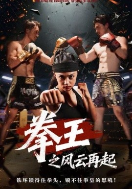 拳王之风云再起（50集）夏巧戈&王城 (2025)-多米联创