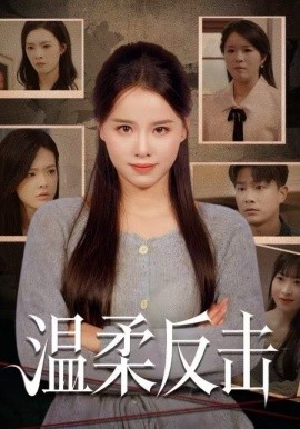 温柔反击（66集）杨懋昕&童霖 (2025)-多米联创