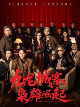 九龙城寨之枭雄崛起&九龙局中局(71集)龙泽&南音 (2025)-多米联创