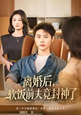 离婚后,软饭前夫竟封神了(78集)林元元&肖智夫 (2025)-58创客