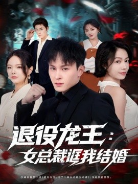 退役龙王:女总裁诓我结婚(80集)聂杨&将诗琪 (2025)-多米联创