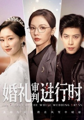 婚礼审判进行时(62集)王为洋&倪若芸 (2025)-58创客