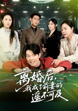 离婚后，我成了前妻的遥不可及（60集）于宙童&王昱赫 (2025)-多米联创