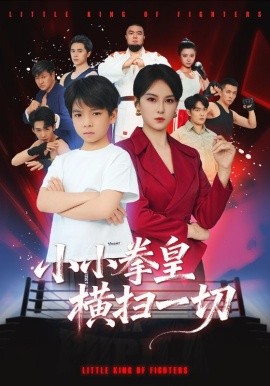 小小拳皇横扫一切（60集）袁诗昂&伍怡 (2025)-多米联创