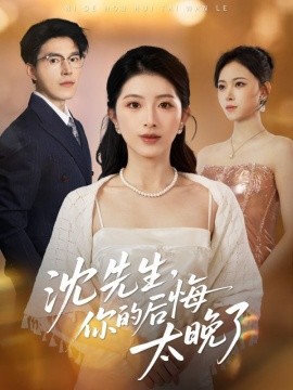 沈先生，你的后悔太晚了（40集）肖琳＆翟中星＆王慧珠 (2025)-多米联创