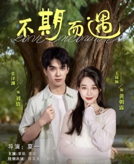 不期而遇(62集)张泽渊&王锦颖 (2025)-多米联创