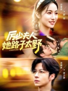 厉少夫人她路子太野（64集）范晓东＆白雪茹 (2025)-多米联创