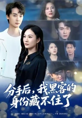 分手后，我黑客的身份藏不住了（80集）宋雯娟&唐元盛 (2025)-多米联创