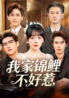 我家锦鲤不好惹（75集）孙蔚琳&马义炎 (2025)-多米联创