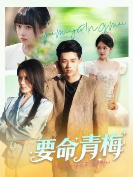 要命青梅（60集）张凤鑫＆刘艺乔 (2025)-多米联创