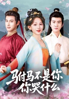 驸马不是你，你哭什么（49集）傅邦奇＆崔秀子 (2025)-多米联创