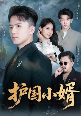 护国小婿（60集）李佳轩&赵志盟 (2025)-多米联创