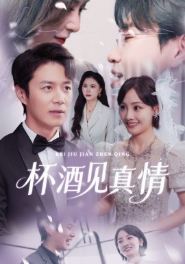 杯酒见真情（68集）陈聿修&顾佳菡 (2025)-多米联创