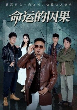 命运的因果（60集）贾楠&刘诣文 (2025)-多米联创
