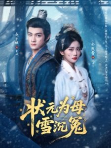 状元为母雪沉冤（58集）赵子麒＆余逸蕾 (2025)-多米联创