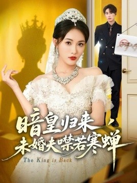 暗皇归来,未婚夫噤若寒蝉(65集)刘星辰&王浩 (2025)-多米联创