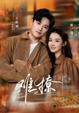 难撩＆亲完就跑周医生把她拉黑了（100集）王皓祯＆翟一莹 (2025)-多米联创