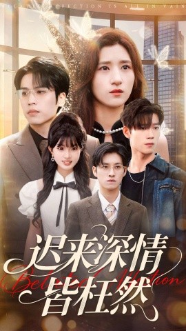 迟来深情皆枉然（80集）王志鹏＆贾博雅 (2025)-多米联创