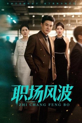职场风波（50集）郑斌&罐小结 (2025)-多米联创