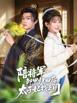 陪将军卸甲归田后，太子妃找上门（60集）朱芝琳&朱城玮 (2025)-多米联创