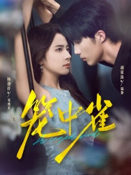 笼中雀(65集)胡荣涛&杨洛仟 (2025)-多米联创