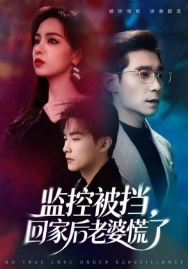 监控被挡，回家后老婆慌了（60集）王昱赫&熊玉婷 (2025)-多米联创